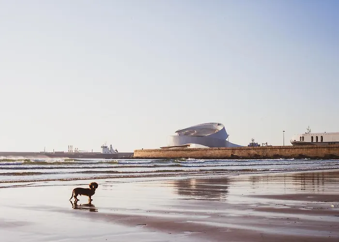 Oceanside Matosinhos - Ecohost