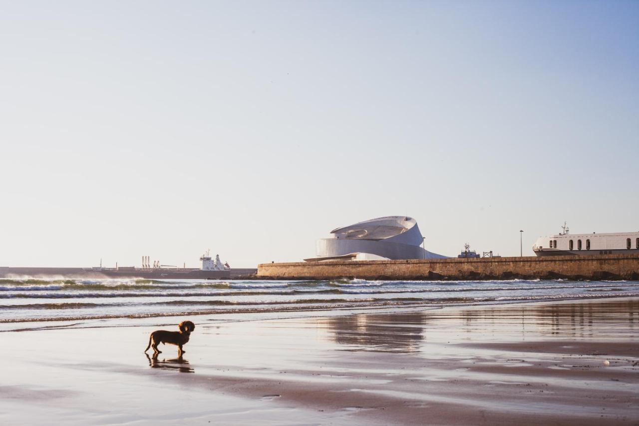 Oceanside Matosinhos - Ecohost Appartement